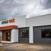 EverVet Animal Hospital ico