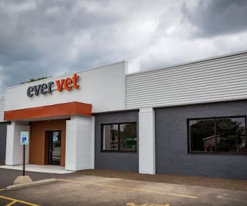 EverVet Animal Hospital