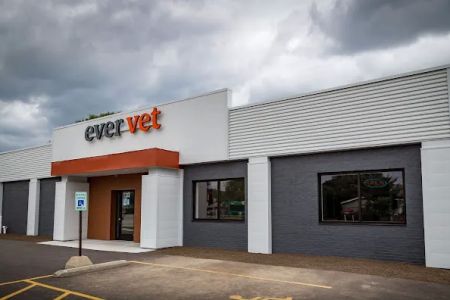 EverVet Animal Hospital