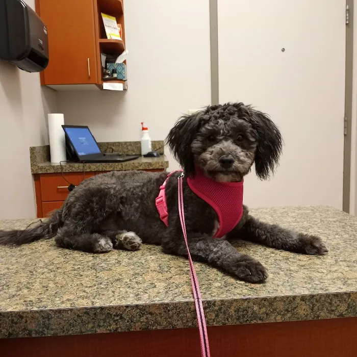 Advanced Animal Hospital - WI 12