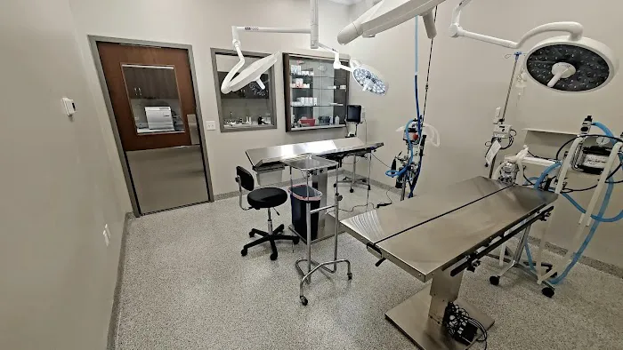 St. Francis Animal Hospital 3
