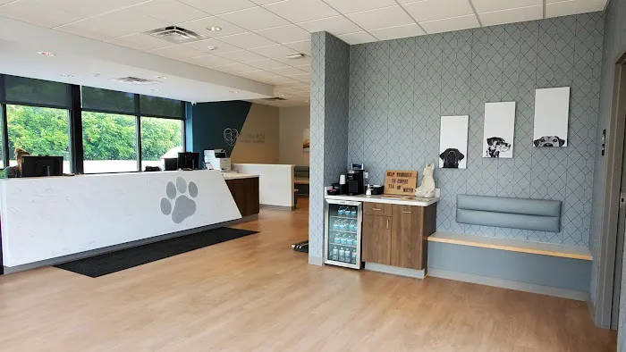 St. Francis Animal Hospital 6
