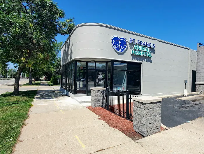 St. Francis Animal Hospital 5