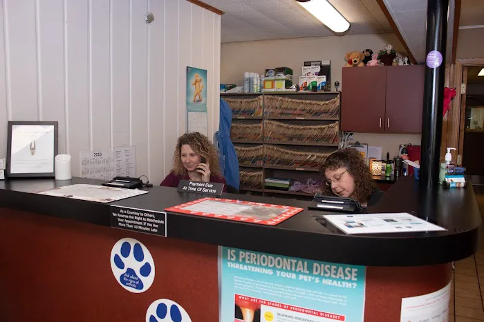 St. Francis Animal Hospital 4