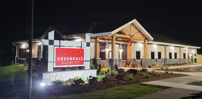 Greendale Village Vet 12