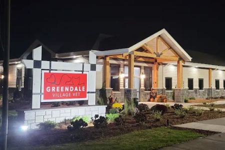 Greendale Village Vet