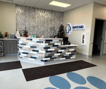 Mayfair Animal Hospital & ER