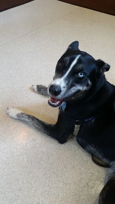 Wauwatosa Veterinary Clinic 12