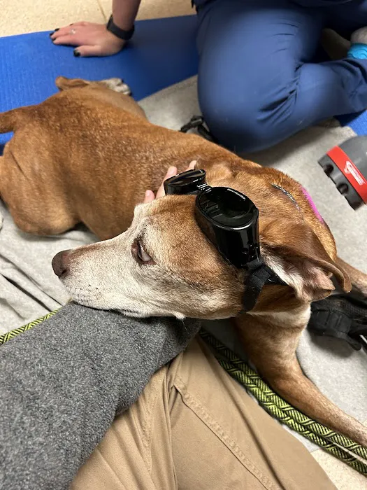 Wauwatosa Veterinary Clinic 12