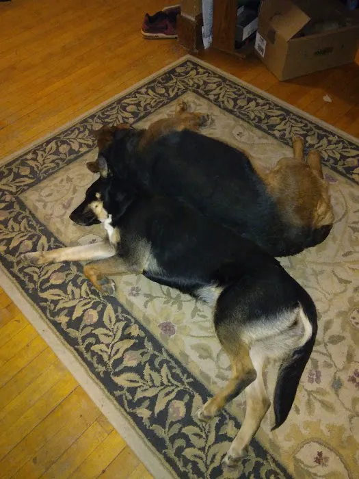 West Burleigh Veterinary Clinic: Kaiser Vickie DVM 12