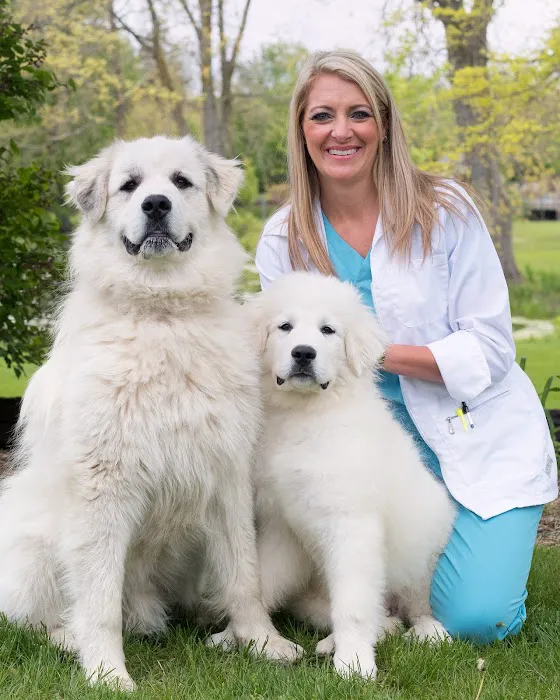 Middlebury Animal Clinic 8