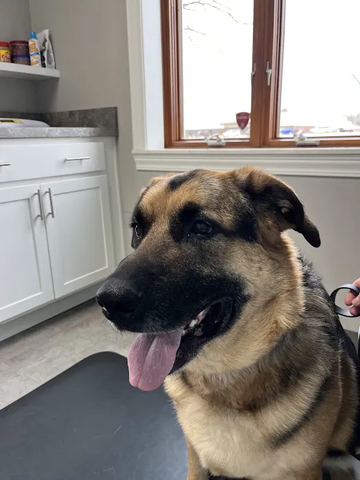 Middlebury Animal Clinic 1