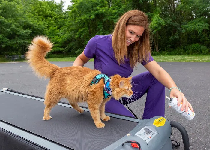 Michiana Animal Rehabilitation Services 5