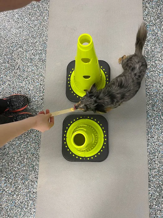 Michiana Animal Rehabilitation Services 7