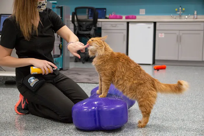 Michiana Animal Rehabilitation Services 1