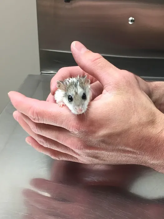 Milford Animal Clinic Inc 4