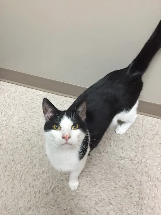 Milford Animal Clinic Inc 6