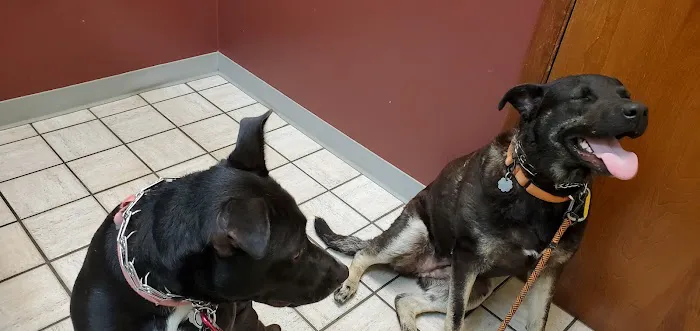 Nappanee Veterinary Hospital 3