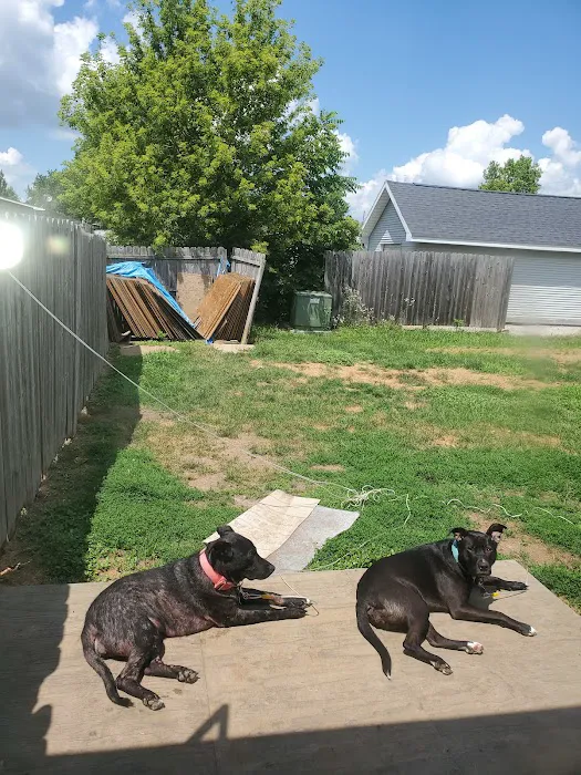 Nappanee Veterinary Hospital 7