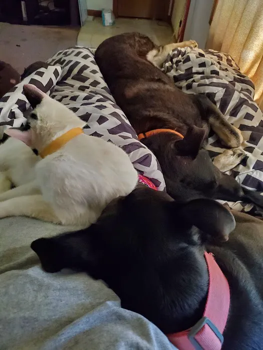 Nappanee Veterinary Hospital 4