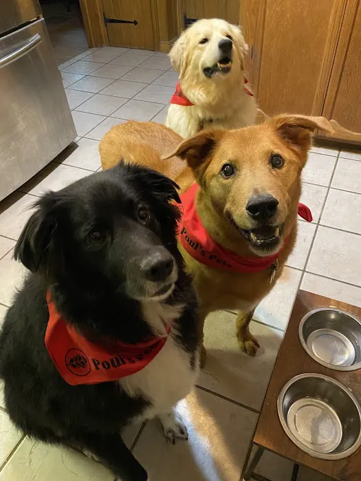 Wauconda Animal Hospital 12