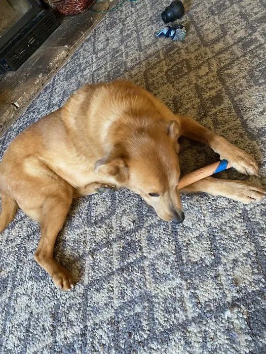 Wauconda Animal Hospital 12