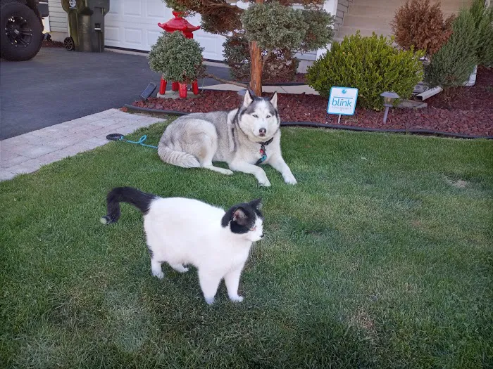 Wauconda Animal Hospital 12