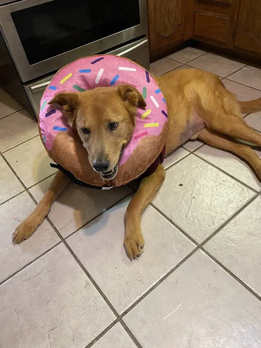 Wauconda Animal Hospital 12