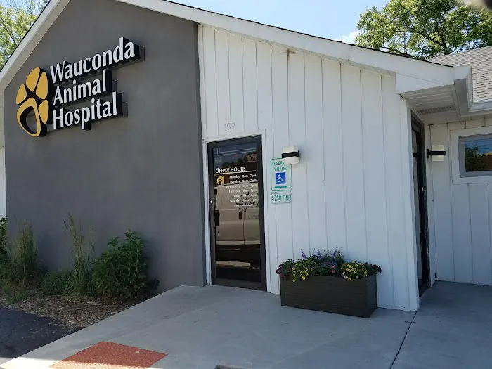 Wauconda Animal Hospital 12
