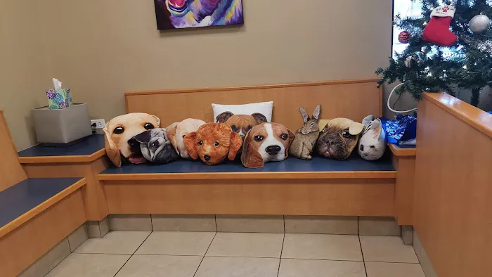 Cary Grove Animal Hospital 9