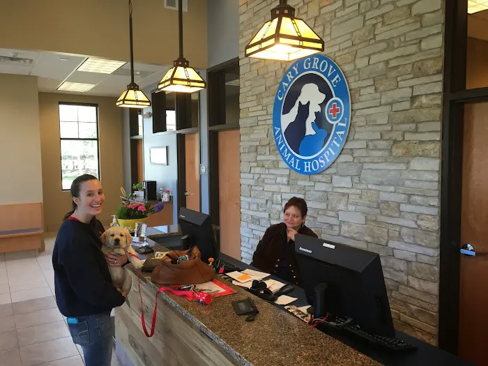 Cary Grove Animal Hospital 3