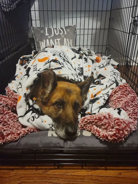 Cary Grove Animal Hospital 7