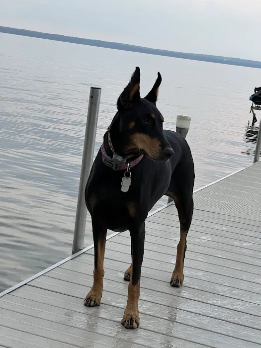 Mid Michigan Animal Clinic 8