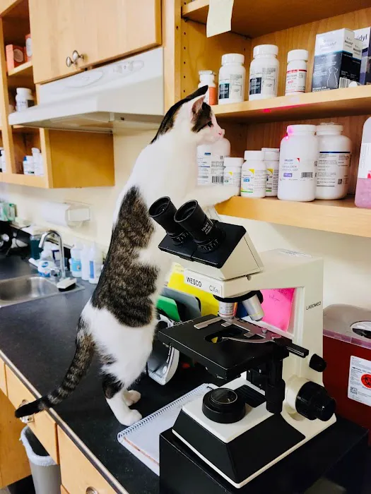 State Road Animal Hospital 9