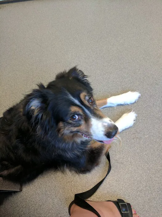 State Road Animal Hospital 8