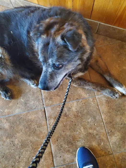 Stone Hill Veterinary Clinic 3