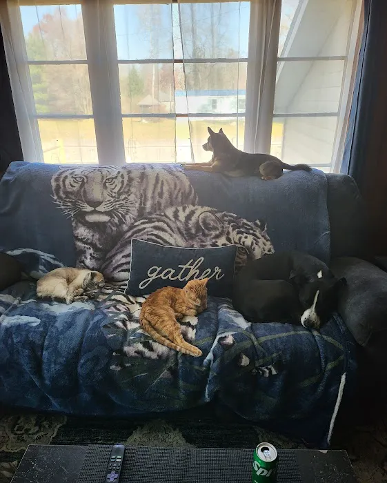 Surrey Veterinary Clinic 7