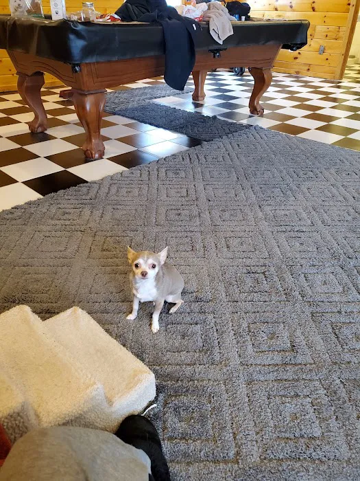 Gladwin Veterinary Clinic 9