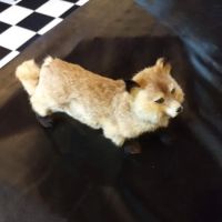Gladwin Veterinary Clinic ico