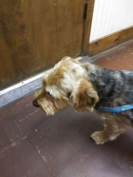Three Oaks Veterinary Clinic 5