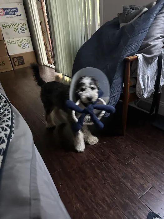 Three Oaks Veterinary Clinic 1