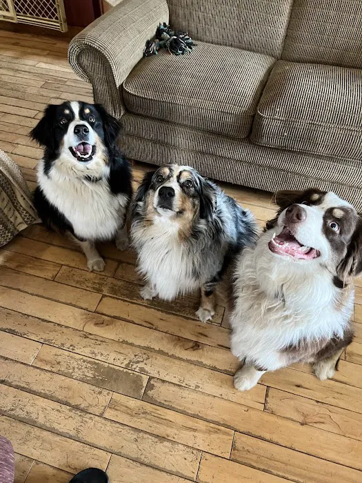 Three Oaks Veterinary Clinic 2