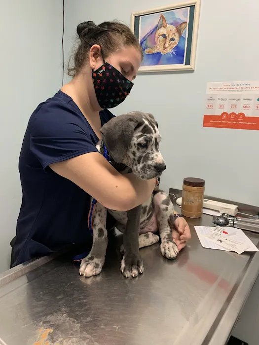 McHenry Pet Hospital 3