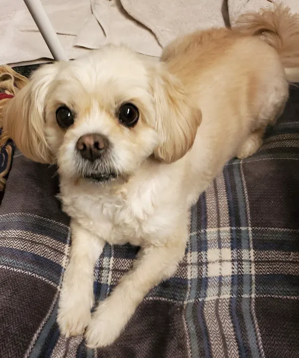 McHenry Pet Hospital 9