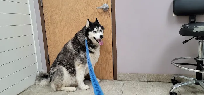 McHenry Pet Hospital 4