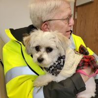 Animal Hospital of Spring Grove ico