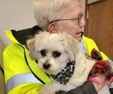 Animal Hospital of Spring Grove