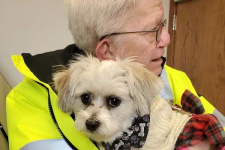 Animal Hospital of Spring Grove