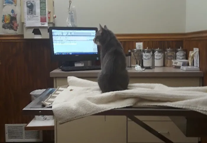 Richmond Veterinary Clinic 12