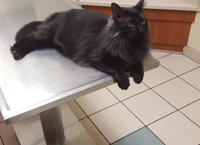 Banfield Pet Hospital 7